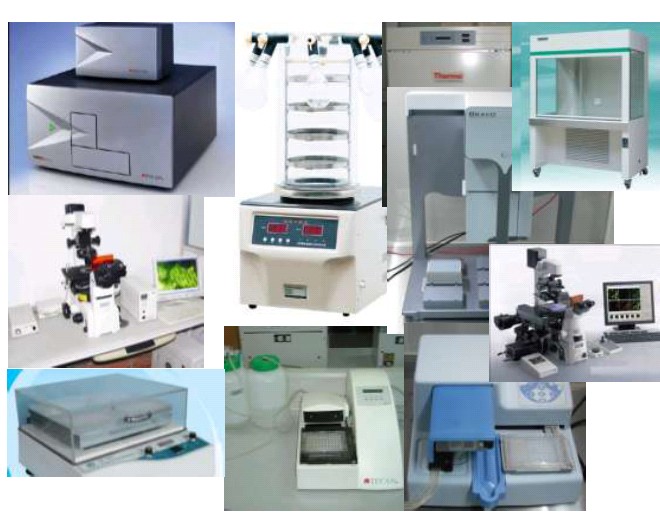 北京大学工学院绍兴技术研究院生物工程研究所