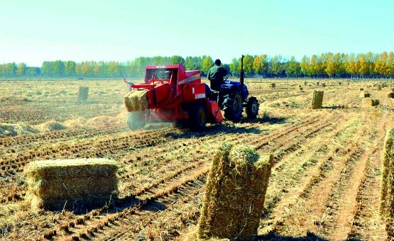 北京大学工学院包头研究院能源生物技术研究所
