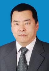 金海龙